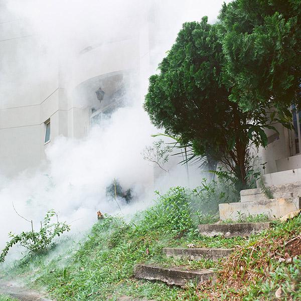นิทรรศการภาพถ่าย "หมอก หลอก หลอน : White Noise" นิทรรศการภาพถ่าย "หมอก หลอก หลอน : White Noise"