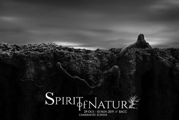 นิทรรศการศิลปะภาพถ่ายขาวดำ "Spirit of Nature 2019"