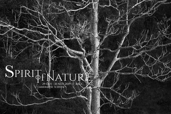 นิทรรศการศิลปะภาพถ่ายขาวดำ "Spirit of Nature 2019"