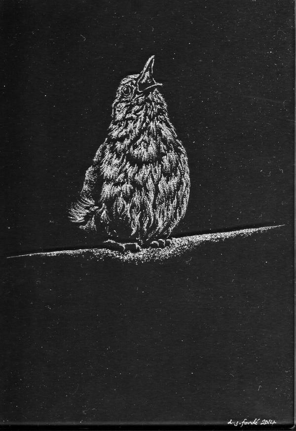 d_fonde_solo - nightingale d_fonde_solo - nightingale