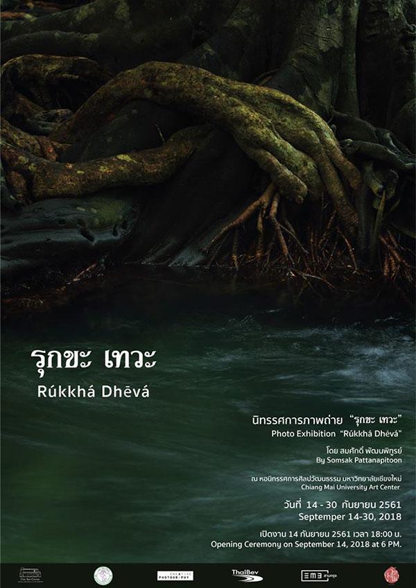 นิทรรศการ "รุกขะ เทวะ : Rúkkhá Dhēvá"