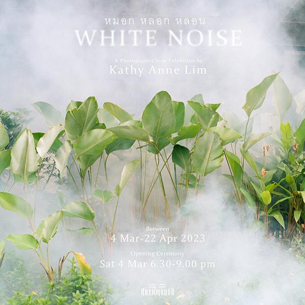 นิทรรศการภาพถ่าย "หมอก หลอก หลอน : White Noise"