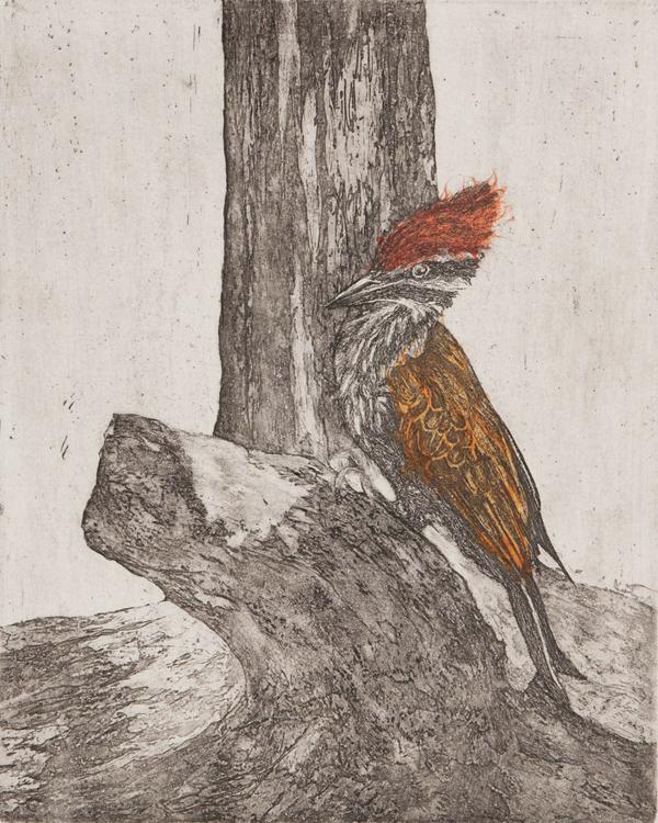 Forest Dweller Alison Wilson Forest Dweller Alison Wilson