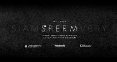 นิทรรศการศิลปนิพนธ์ "Sperm exhibition"