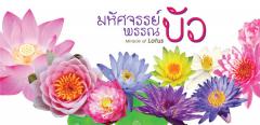 นิทรรศการมหัศจรรย์พรรณบัว นิทรรศการมหัศจรรย์พรรณบัว
