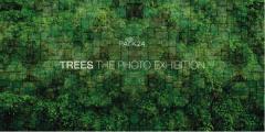 นิทรรศการ "TREES : The Photo Exhibition"