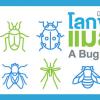 นิทรรศการ "โลกของแมลง A Bug's Life" 