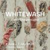 นิทรรศการ "ชโลมขาว : Whitewash"