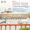 นิทรรศการหมุนเวียน เรื่อง "วิฬาร์ วิลาส: การเดินทางของแมวในวิถีไทย"
