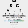 นิทรรศการ "Scale"