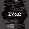 นิทรรศการศิลปนิพนธ์ "ZYNC"