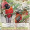 นิทรรศการ "นกในธรรมชาติ" Birds & Habitats