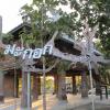 มะกอก Makok Art Space