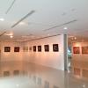 หอศิลป์วังหน้า : Wangna Arts Gallery